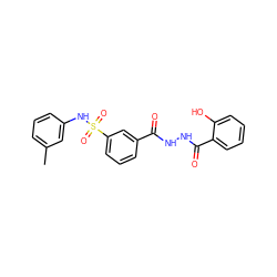 Cc1cccc(NS(=O)(=O)c2cccc(C(=O)NNC(=O)c3ccccc3O)c2)c1 ZINC000017575599