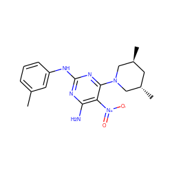 Cc1cccc(Nc2nc(N)c([N+](=O)[O-])c(N3C[C@@H](C)C[C@H](C)C3)n2)c1 ZINC000009286893