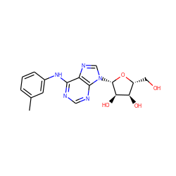 Cc1cccc(Nc2ncnc3c2ncn3[C@@H]2O[C@H](CO)[C@@H](O)[C@H]2O)c1 ZINC000012405307