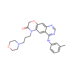 Cc1cccc(Nc2ncnc3cc4c(cc23)N(CCCN2CCOCC2)C(=O)CO4)c1 ZINC000653723631