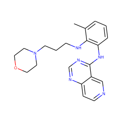 Cc1cccc(Nc2ncnc3ccncc23)c1NCCCN1CCOCC1 ZINC000029133582