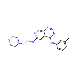 Cc1cccc(Nc2ncnc3cnc(NCCN4CCOCC4)cc23)c1 ZINC000021289168