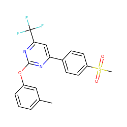 Cc1cccc(Oc2nc(-c3ccc(S(C)(=O)=O)cc3)cc(C(F)(F)F)n2)c1 ZINC000043013921