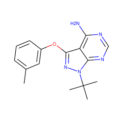 Cc1cccc(Oc2nn(C(C)(C)C)c3ncnc(N)c23)c1 ZINC000143898184