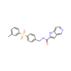 Cc1cccc(S(=O)(=O)c2ccc(CNC(=O)c3cc4cnccc4[nH]3)cc2)c1 ZINC000096282777