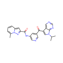 Cc1cccc2cc(C(=O)Nc3cncc(C(=O)c4cn(C(C)C)c5ncncc45)c3)nn12 ZINC000169707996