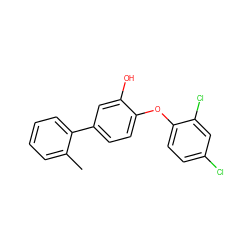 Cc1ccccc1-c1ccc(Oc2ccc(Cl)cc2Cl)c(O)c1 ZINC000016052044