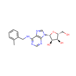 Cc1ccccc1CNc1ncnc2c1ncn2[C@@H]1O[C@H](CO)[C@@H](O)[C@H]1O ZINC000004216929