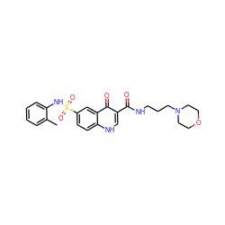 Cc1ccccc1NS(=O)(=O)c1ccc2[nH]cc(C(=O)NCCCN3CCOCC3)c(=O)c2c1 ZINC000020726913