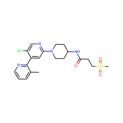 Cc1cccnc1-c1cc(N2CCC(NC(=O)CCS(C)(=O)=O)CC2)ncc1Cl ZINC000146827382