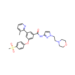 Cc1cccnc1-c1cc(Oc2ccc(S(C)(=O)=O)cc2)cc(C(=O)Nc2ccn(CCN3CCOCC3)n2)c1 ZINC000169306766