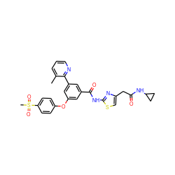 Cc1cccnc1-c1cc(Oc2ccc(S(C)(=O)=O)cc2)cc(C(=O)Nc2nc(CC(=O)NC3CC3)cs2)c1 ZINC000169306741