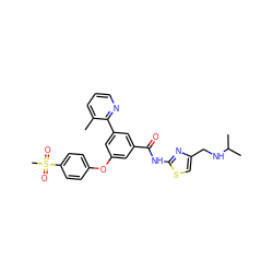 Cc1cccnc1-c1cc(Oc2ccc(S(C)(=O)=O)cc2)cc(C(=O)Nc2nc(CNC(C)C)cs2)c1 ZINC000169306760