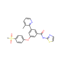 Cc1cccnc1-c1cc(Oc2ccc(S(C)(=O)=O)cc2)cc(C(=O)Nc2nccs2)c1 ZINC000169306737