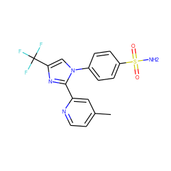 Cc1ccnc(-c2nc(C(F)(F)F)cn2-c2ccc(S(N)(=O)=O)cc2)c1 ZINC000000841383