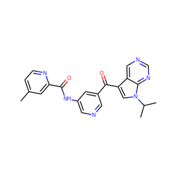 Cc1ccnc(C(=O)Nc2cncc(C(=O)c3cn(C(C)C)c4ncncc34)c2)c1 ZINC000169707926