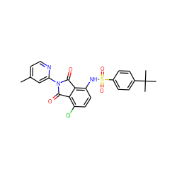 Cc1ccnc(N2C(=O)c3c(Cl)ccc(NS(=O)(=O)c4ccc(C(C)(C)C)cc4)c3C2=O)c1 ZINC000653848910