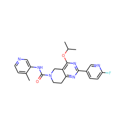 Cc1ccncc1NC(=O)N1CCc2nc(-c3ccc(F)nc3)nc(OC(C)C)c2C1 ZINC000095561434