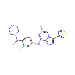 Cc1cn2c(-c3ccsc3)cnc2c(Nc2ccc(C(=O)N3CCNCC3)c(Cl)c2)n1 ZINC000072125823