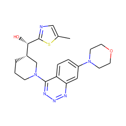 Cc1cnc([C@@H](O)[C@H]2CCCN(c3nnnc4cc(N5CCOCC5)ccc34)C2)s1 ZINC000148312380