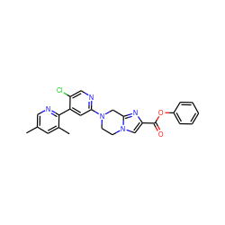 Cc1cnc(-c2cc(N3CCn4cc(C(=O)Oc5ccccc5)nc4C3)ncc2Cl)c(C)c1 ZINC000169342760