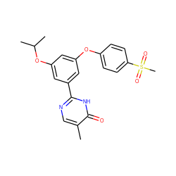 Cc1cnc(-c2cc(Oc3ccc(S(C)(=O)=O)cc3)cc(OC(C)C)c2)[nH]c1=O ZINC000096273785