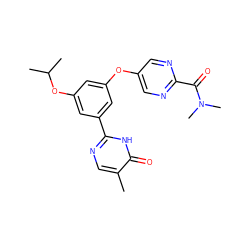 Cc1cnc(-c2cc(Oc3cnc(C(=O)N(C)C)nc3)cc(OC(C)C)c2)[nH]c1=O ZINC000096273760