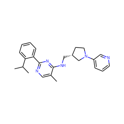 Cc1cnc(-c2ccccc2C(C)C)nc1NC[C@@H]1CCN(c2cccnc2)C1 ZINC000169341982