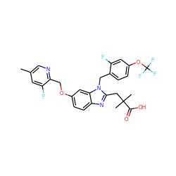 Cc1cnc(COc2ccc3nc(CC(C)(C)C(=O)O)n(Cc4ccc(OC(F)(F)F)cc4F)c3c2)c(F)c1 ZINC000218130216
