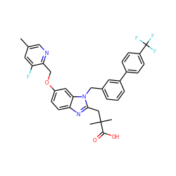 Cc1cnc(COc2ccc3nc(CC(C)(C)C(=O)O)n(Cc4cccc(-c5ccc(C(F)(F)F)cc5)c4)c3c2)c(F)c1 ZINC000218198345