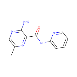 Cc1cnc(N)c(C(=O)Nc2ccccn2)n1 ZINC000028347925