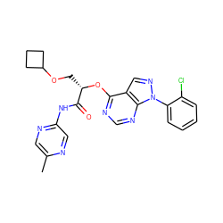 Cc1cnc(NC(=O)[C@H](COC2CCC2)Oc2ncnc3c2cnn3-c2ccccc2Cl)cn1 ZINC000068198688