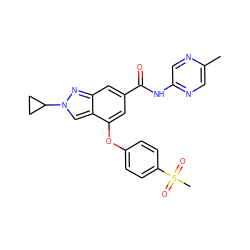 Cc1cnc(NC(=O)c2cc(Oc3ccc(S(C)(=O)=O)cc3)c3cn(C4CC4)nc3c2)cn1 ZINC000095563128