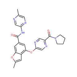 Cc1cnc(NC(=O)c2cc(Oc3cnc(C(=O)N4CCCC4)cn3)c3cc(C)oc3c2)cn1 ZINC000169329206