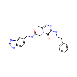 Cc1cnc(NCCc2ccccc2)c(=O)n1CC(=O)NCc1ccc2[nH]cnc2c1 ZINC000013488043