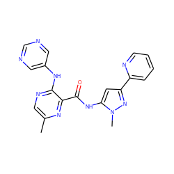 Cc1cnc(Nc2cncnc2)c(C(=O)Nc2cc(-c3ccccn3)nn2C)n1 ZINC000096167406