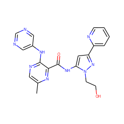 Cc1cnc(Nc2cncnc2)c(C(=O)Nc2cc(-c3ccccn3)nn2CCO)n1 ZINC000096167407