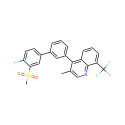 Cc1cnc2c(C(F)(F)F)cccc2c1-c1cccc(-c2ccc(F)c(S(C)(=O)=O)c2)c1 ZINC000049126288