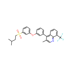 Cc1cnc2c(C(F)(F)F)cccc2c1-c1cccc(Oc2cccc(S(=O)(=O)CCC(C)C)c2)c1 ZINC000045351643