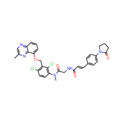 Cc1cnc2cccc(OCc3c(Cl)ccc(N(C)C(=O)CNC(=O)/C=C/c4ccc(N5CCCC5=O)cc4)c3Cl)c2n1 ZINC000027326419