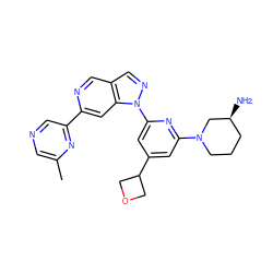 Cc1cncc(-c2cc3c(cn2)cnn3-c2cc(C3COC3)cc(N3CCC[C@H](N)C3)n2)n1 ZINC000211017462