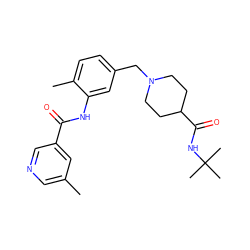 Cc1cncc(C(=O)Nc2cc(CN3CCC(C(=O)NC(C)(C)C)CC3)ccc2C)c1 ZINC001772596069