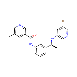 Cc1cncc(C(=O)Nc2cccc([C@H](C)Nc3cncc(Br)c3)c2)c1 ZINC000040403161