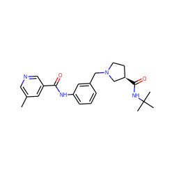 Cc1cncc(C(=O)Nc2cccc(CN3CC[C@@H](C(=O)NC(C)(C)C)C3)c2)c1 ZINC001772609964