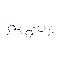 Cc1cncc(C(=O)Nc2cccc(CN3CCC(C(=O)N(C)C)CC3)c2)c1 ZINC001772652142