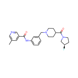 Cc1cncc(C(=O)Nc2cccc(CN3CCC(C(=O)N4CC[C@@H](F)C4)CC3)c2)c1 ZINC001772645679