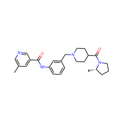 Cc1cncc(C(=O)Nc2cccc(CN3CCC(C(=O)N4CCC[C@@H]4C)CC3)c2)c1 ZINC001772595676