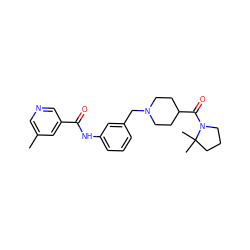 Cc1cncc(C(=O)Nc2cccc(CN3CCC(C(=O)N4CCCC4(C)C)CC3)c2)c1 ZINC001772653414