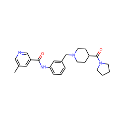 Cc1cncc(C(=O)Nc2cccc(CN3CCC(C(=O)N4CCCC4)CC3)c2)c1 ZINC001772611303