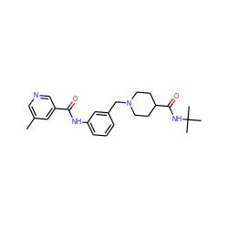 Cc1cncc(C(=O)Nc2cccc(CN3CCC(C(=O)NC(C)(C)C)CC3)c2)c1 ZINC000210645077